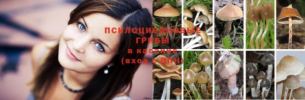 кокс Беломорск