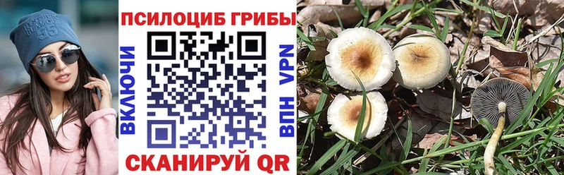 Галлюциногенные грибы прущие грибы  это формула  Плёс 